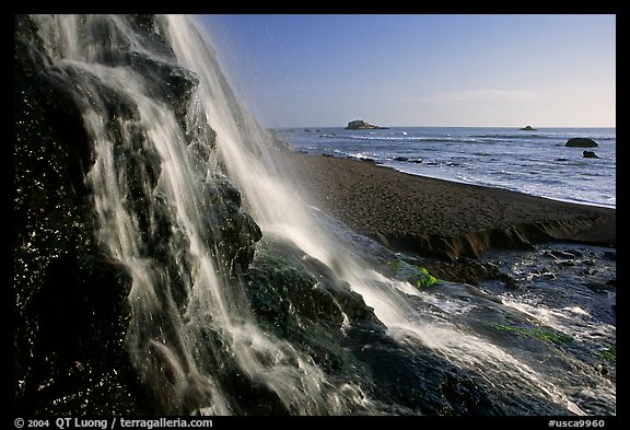 Alamere Falls and beach. Point Reyes National Seashore, California, USA