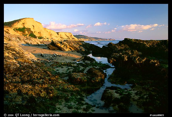 Mussels and Cliffs, Sculptured Beach, sunset. Point Reyes National Seashore, California, USA