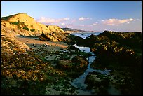 Mussels and Cliffs, Sculptured Beach, sunset. Point Reyes National Seashore, California, USA ( color)