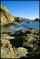 McClures Beach, afternoon. Point Reyes National Seashore, California, USA ( color)