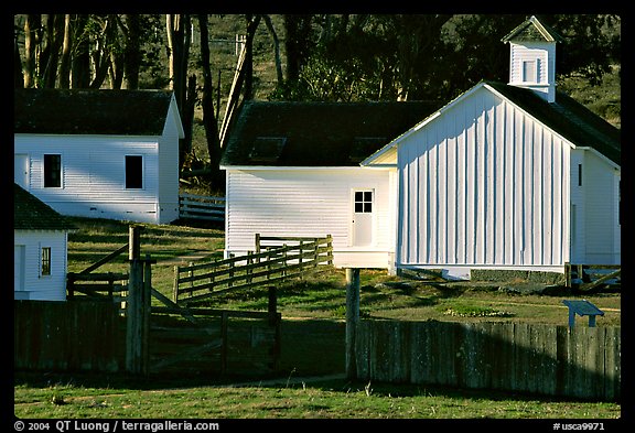 Historic Farmhouse. Point Reyes National Seashore, California, USA (color)