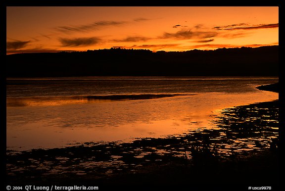 Bolinas Lagoon, sunset. California, USA