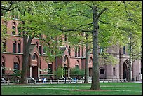 Courtyard and Lawrance Hall, Old Campus. Yale University, New Haven, Connecticut, USA ( color)