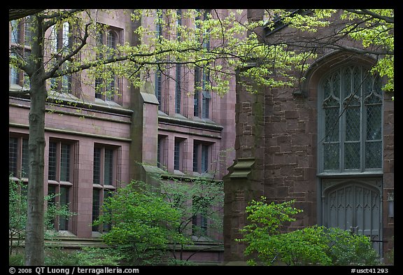 Old Campus buildings. Yale University, New Haven, Connecticut, USA (color)