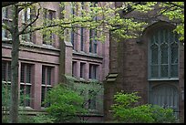 Old Campus buildings. Yale University, New Haven, Connecticut, USA ( color)