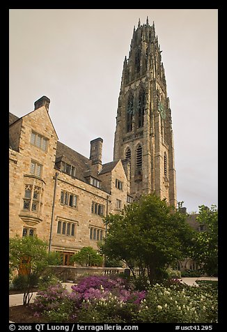 Harkness Tower. Yale University, New Haven, Connecticut, USA