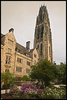 Harkness Tower. Yale University, New Haven, Connecticut, USA (color)