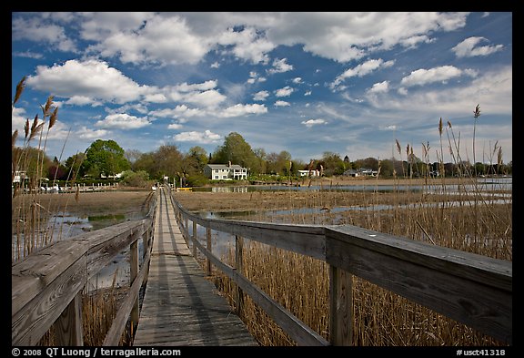 Deck, tall grasses, and river, Old Saybrook. Connecticut, USA (color)