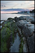 Algae-covered rocks and beach houses, Westbrook. Connecticut, USA