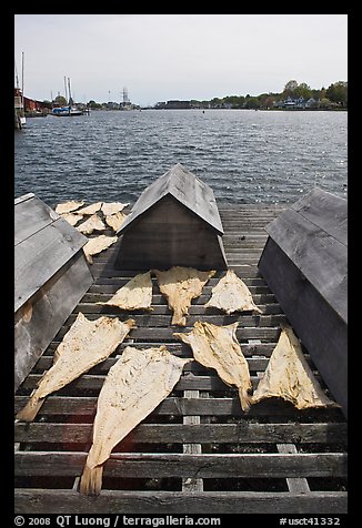 Fish being dried next to Mystic River. Mystic, Connecticut, USA