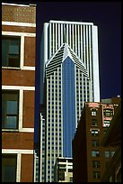 Buildings in downtown. Chicago, Illinois, USA