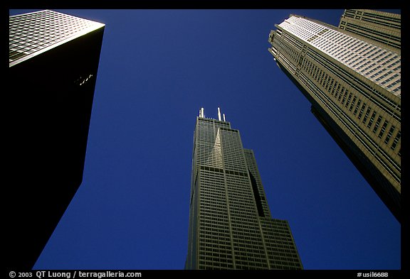 Upwards view of sears tower framed by other skyscrappers. Chicago, Illinois, USA