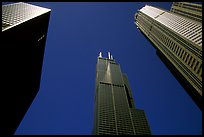 Upwards view of sears tower framed by other skyscrappers. Chicago, Illinois, USA (color)