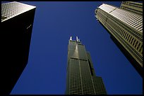 Upwards view of sears tower framed by other skyscrappers. Chicago, Illinois, USA