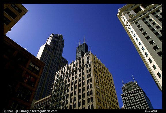 Sears tower framed by other skyscrappers. Chicago, Illinois, USA (color)