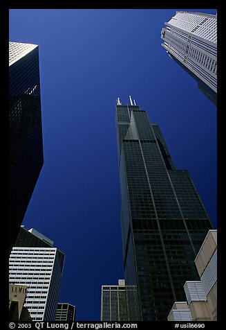 Upwards views of Sears tower and  skyscrappers. Chicago, Illinois, USA