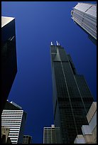 Upwards views of Sears tower and  skyscrappers. Chicago, Illinois, USA