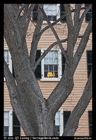 Tree and facade, Hawkes House, Salem Maritime National Historic Site. Salem, Massachussets, USA