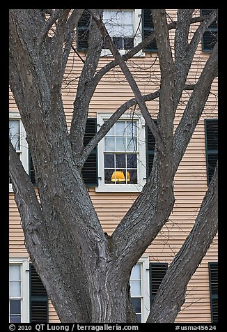 Tree and facade, Hawkes House, Salem Maritime National Historic Site. Salem, Massachussets, USA (color)