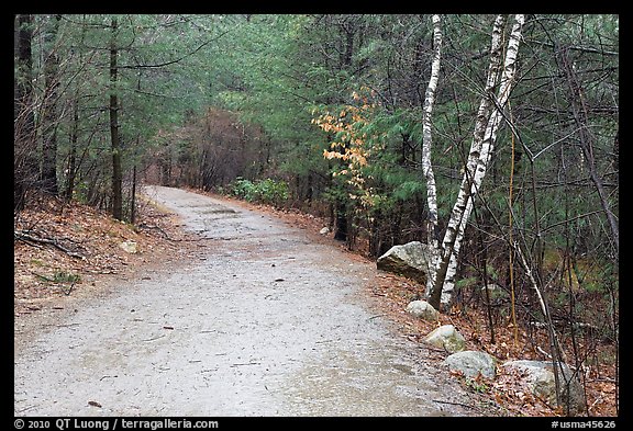 Battle Road Trai in winter, Minute Man National Historical Park. Massachussets, USA (color)