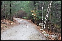 Battle Road Trai in winter, Minute Man National Historical Park. Massachussets, USA