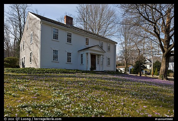 Historic house with early blooms in front yard, Sandwich. Cape Cod, Massachussets, USA