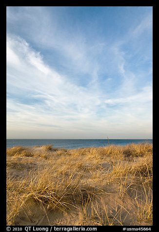 Dunegrass and clouds, Race Point Beach, Cape Cod National Seashore. Cape Cod, Massachussets, USA