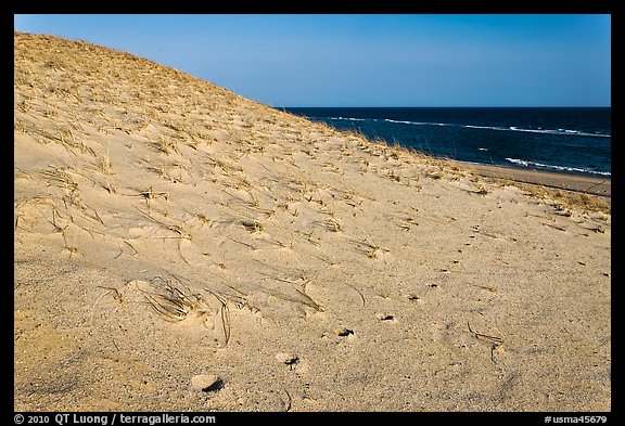 Sand dune and ocean, early morning, Coast Guard Beach, Cape Cod National Seashore. Cape Cod, Massachussets, USA (color)