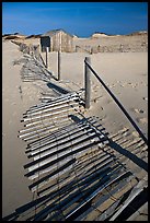 Fallen sand barrier, Cape Cod National Seashore. Cape Cod, Massachussets, USA