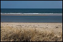 Grass, beach, and sand bar, Cape Cod National Seashore. Cape Cod, Massachussets, USA (color)