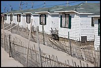 Row of boarded up cottages, Truro. Cape Cod, Massachussets, USA (color)