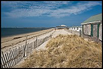 Cottages and beach, Truro. Cape Cod, Massachussets, USA ( color)