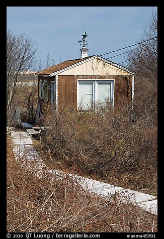 Cottage with weatherwane, Truro. Cape Cod, Massachussets, USA