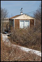 Cottage with weatherwane, Truro. Cape Cod, Massachussets, USA