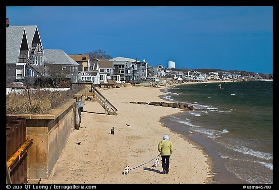 Woman walking two dogs on beach in winter, Provincetown. Cape Cod, Massachussets, USA