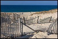 Sand Fence, tourist, and ocean late afternoon, Cape Cod National Seashore. Cape Cod, Massachussets, USA