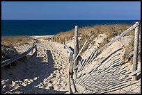 Path to beach and ocean framed by sand fences, Cape Cod National Seashore. Cape Cod, Massachussets, USA