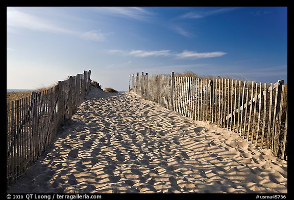 Path between sand fences, Cape Cod National Seashore. Cape Cod, Massachussets, USA