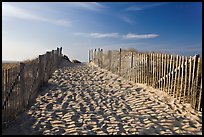 Path between sand fences, Cape Cod National Seashore. Cape Cod, Massachussets, USA