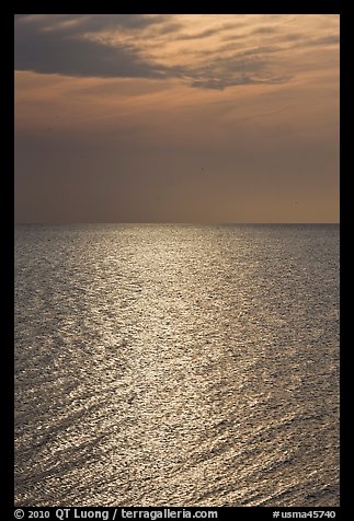 Shimmering water, Cape Cod Bay, Cape Cod National Seashore. Cape Cod, Massachussets, USA (color)