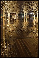 Reflected trees at night. Boston, Massachussets, USA