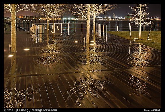 Tree reflections on wet boardwalk. Boston, Massachussets, USA (color)