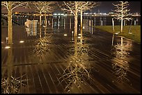 Tree reflections on wet boardwalk. Boston, Massachussets, USA