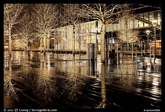 Trees reflected on boardwalk, and modern building at night. Boston, Massachussets, USA