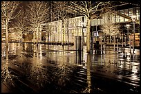 Trees reflected on boardwalk, and modern building at night. Boston, Massachussets, USA