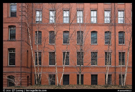 Facade of brick building, Harvard University, Cambridge. Boston, Massachussets, USA