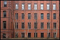 Facade of brick building, Harvard University, Cambridge. Boston, Massachussets, USA ( color)