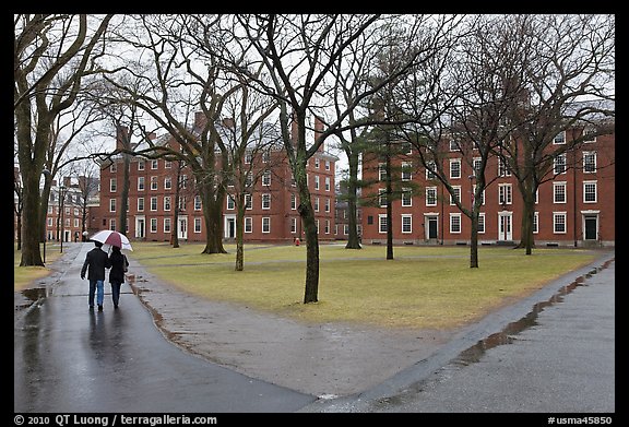 Couple with unbrella walking on Harvard University Campus, Cambridge. Boston, Massachussets, USA (color)