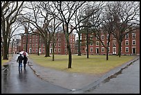 Couple with unbrella walking on Harvard University Campus, Cambridge. Boston, Massachussets, USA ( color)