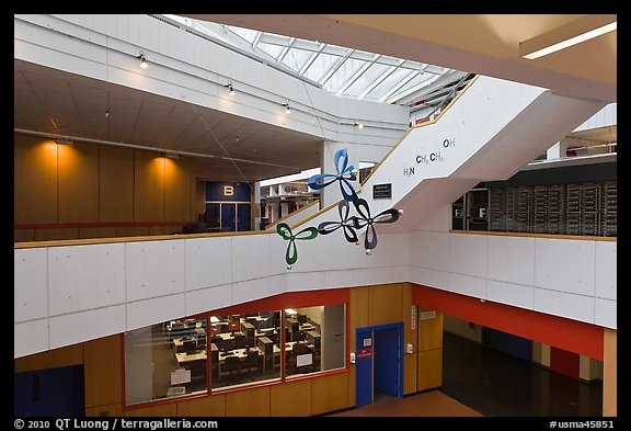 Inside science building, Harvard University, Cambridge. Boston, Massachussets, USA (color)